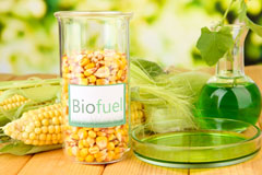 Gelli Gaer biofuel availability